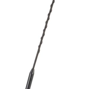 Universele dakantenne 16V AM/FM passief 72graden plaatsingshoek