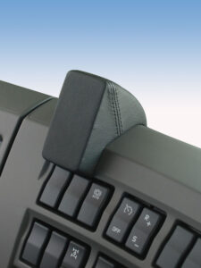 Renault Premium 1996-2013 Kleur: Zwart