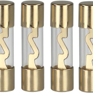 AGU zekering 10 Ampere (goud) 4 stuks in blister