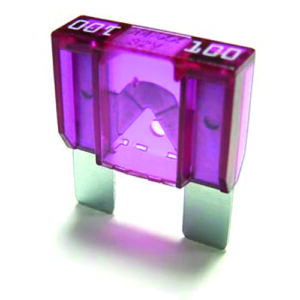 maxi zekering 100 ampère in blister