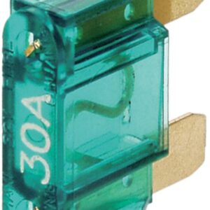 MAXI zekering 30 Ampere 1 stuk