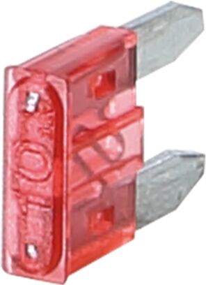 mini zekering 10 Ampere (50 stuks)