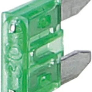 mini zekering 30 Ampere (50 stuks)