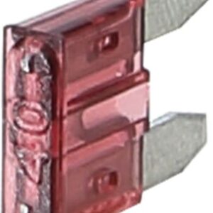 mini zekering 40 Ampere (50 stuks)