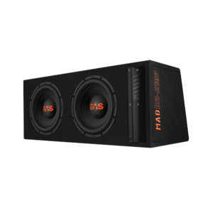 GAS MAD Level 2 Loaded enclosure 2x10" V2