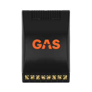 GAS MAD Level 1 2-Way Crossover