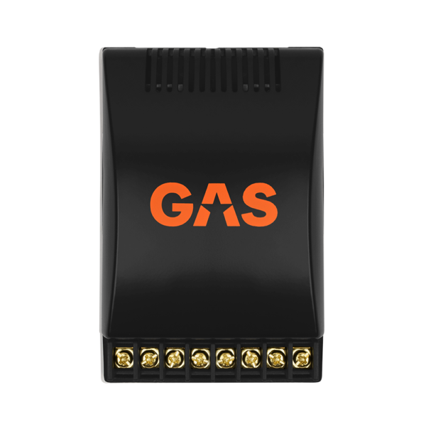 GAS MAD Level 1 2-Way Crossover